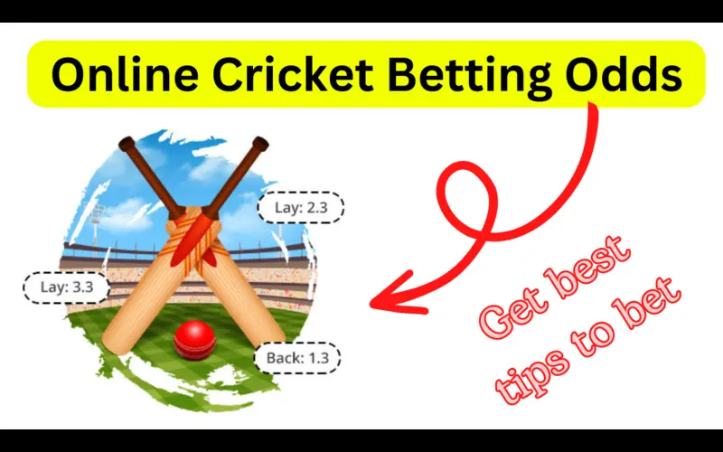 cricket online betting odds featured image